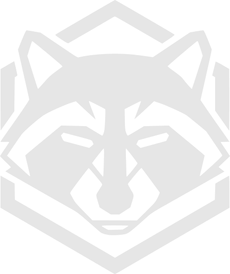 Raccoon Robotics Logo